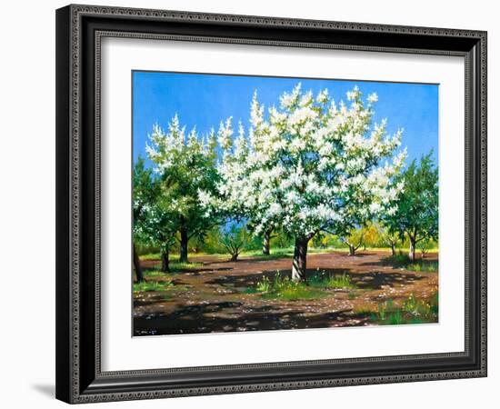 Blossoming, Spring Garden-balaikin2009-Framed Art Print