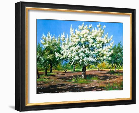 Blossoming, Spring Garden-balaikin2009-Framed Art Print