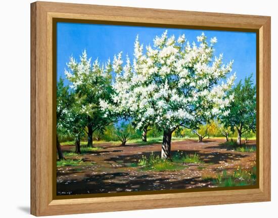 Blossoming, Spring Garden-balaikin2009-Framed Stretched Canvas