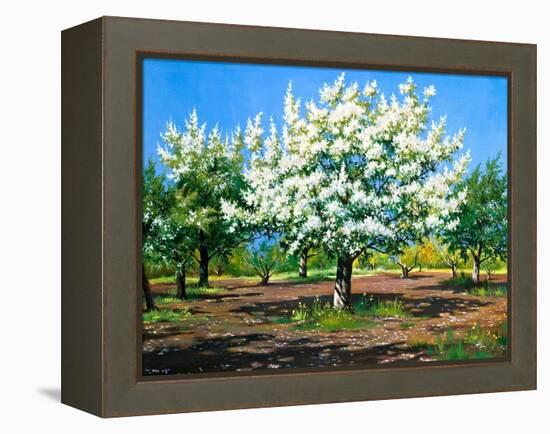 Blossoming, Spring Garden-balaikin2009-Framed Stretched Canvas