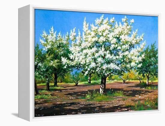 Blossoming, Spring Garden-balaikin2009-Framed Stretched Canvas