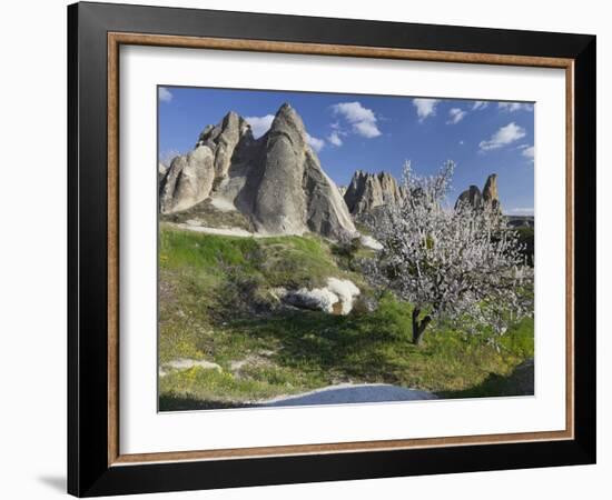 Blossoming Trees and Tuff Stone in the Zemi Valley, Gšreme, Cappadocia, Anatolia, Turkey-Rainer Mirau-Framed Photographic Print