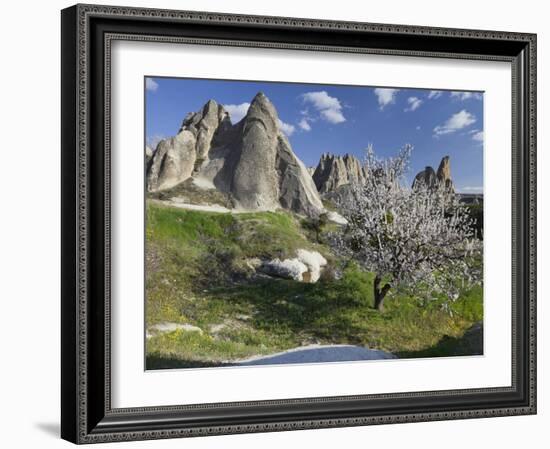 Blossoming Trees and Tuff Stone in the Zemi Valley, Gšreme, Cappadocia, Anatolia, Turkey-Rainer Mirau-Framed Photographic Print