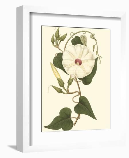 Blossoming Vine I-Sydenham Teast Edwards-Framed Art Print