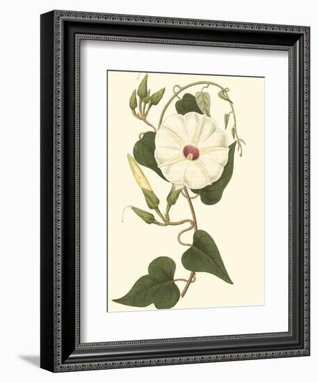 Blossoming Vine I-Sydenham Teast Edwards-Framed Art Print