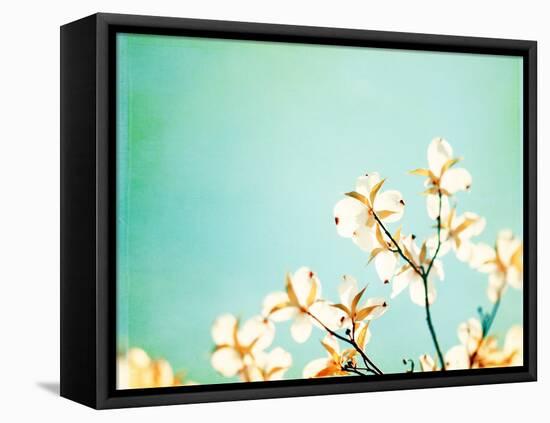 Blossoms Adrift-Carolyn Cochrane-Framed Premier Image Canvas