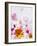 Blossoms, Bright, Different, Still Life-Axel Killian-Framed Photographic Print