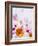 Blossoms, Bright, Different, Still Life-Axel Killian-Framed Photographic Print