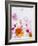 Blossoms, Bright, Different, Still Life-Axel Killian-Framed Photographic Print