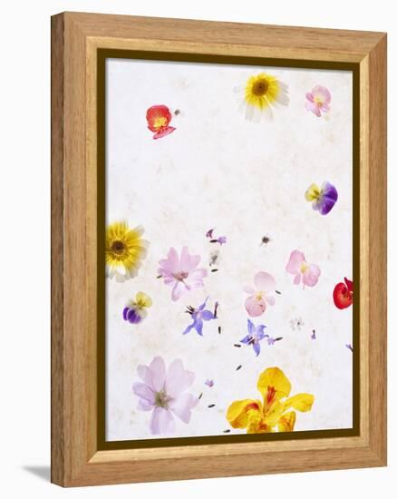 Blossoms, Bright, Different, Still Life-Axel Killian-Framed Premier Image Canvas