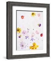 Blossoms, Bright, Different, Still Life-Axel Killian-Framed Photographic Print