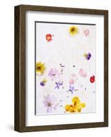 Blossoms, Bright, Different, Still Life-Axel Killian-Framed Photographic Print