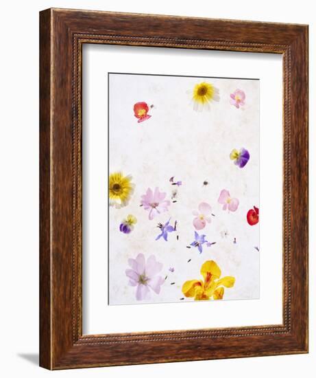 Blossoms, Bright, Different, Still Life-Axel Killian-Framed Photographic Print