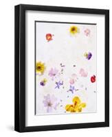 Blossoms, Bright, Different, Still Life-Axel Killian-Framed Photographic Print