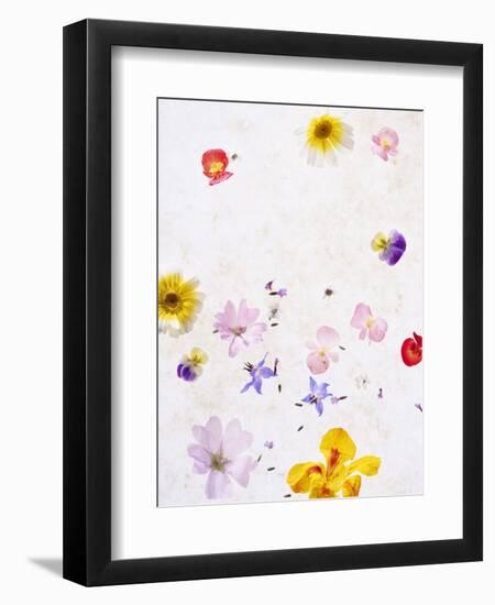 Blossoms, Bright, Different, Still Life-Axel Killian-Framed Photographic Print