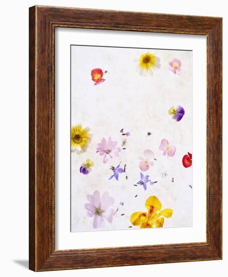 Blossoms, Bright, Different, Still Life-Axel Killian-Framed Photographic Print