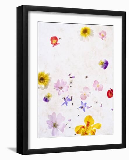 Blossoms, Bright, Different, Still Life-Axel Killian-Framed Photographic Print