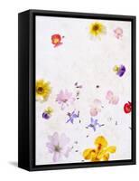 Blossoms, Bright, Different, Still Life-Axel Killian-Framed Premier Image Canvas