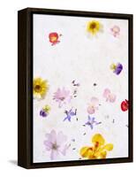 Blossoms, Bright, Different, Still Life-Axel Killian-Framed Premier Image Canvas