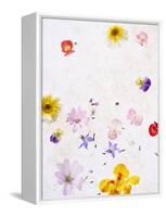Blossoms, Bright, Different, Still Life-Axel Killian-Framed Premier Image Canvas