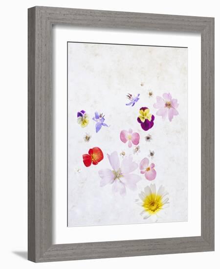 Blossoms, Bright, Different, Still Life-Axel Killian-Framed Photographic Print