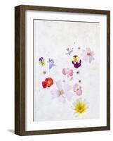 Blossoms, Bright, Different, Still Life-Axel Killian-Framed Photographic Print