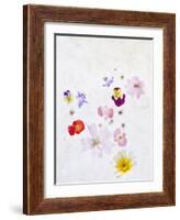 Blossoms, Bright, Different, Still Life-Axel Killian-Framed Photographic Print