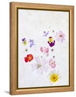 Blossoms, Bright, Different, Still Life-Axel Killian-Framed Premier Image Canvas