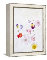 Blossoms, Bright, Different, Still Life-Axel Killian-Framed Premier Image Canvas
