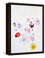 Blossoms, Bright, Different, Still Life-Axel Killian-Framed Premier Image Canvas