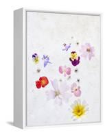 Blossoms, Bright, Different, Still Life-Axel Killian-Framed Premier Image Canvas