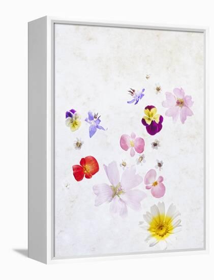 Blossoms, Bright, Different, Still Life-Axel Killian-Framed Premier Image Canvas