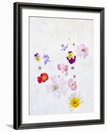 Blossoms, Bright, Different, Still Life-Axel Killian-Framed Photographic Print