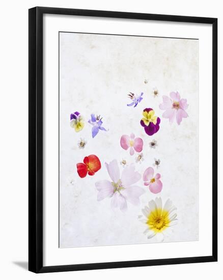 Blossoms, Bright, Different, Still Life-Axel Killian-Framed Photographic Print