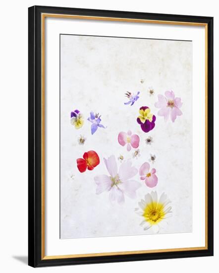 Blossoms, Bright, Different, Still Life-Axel Killian-Framed Photographic Print