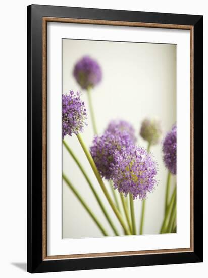 Blossoms II-Karyn Millet-Framed Photographic Print