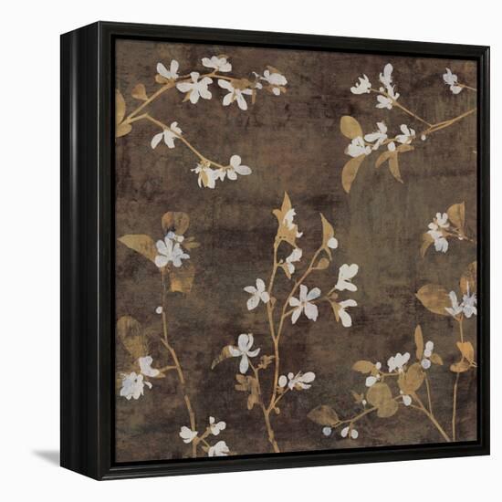 Blossoms II-Chris Donovan-Framed Stretched Canvas