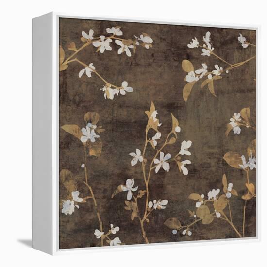 Blossoms II-Chris Donovan-Framed Stretched Canvas