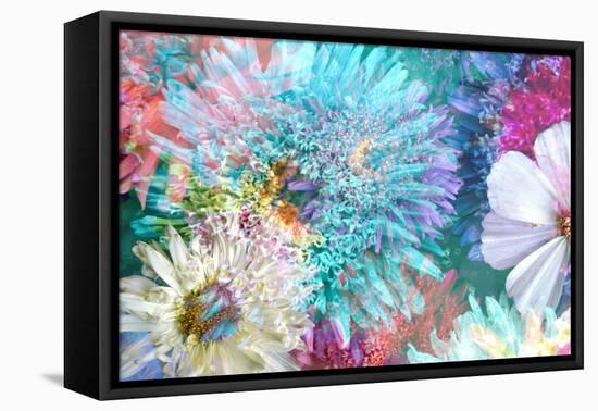 Blossoms of Dahlia and Daisy Star, Poetic Photographic Layer Work-Alaya Gadeh-Framed Premier Image Canvas