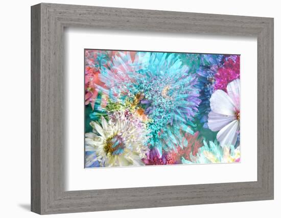 Blossoms of Dahlia and Daisy Star, Poetic Photographic Layer Work-Alaya Gadeh-Framed Photographic Print