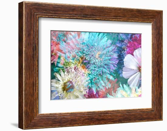 Blossoms of Dahlia and Daisy Star, Poetic Photographic Layer Work-Alaya Gadeh-Framed Photographic Print