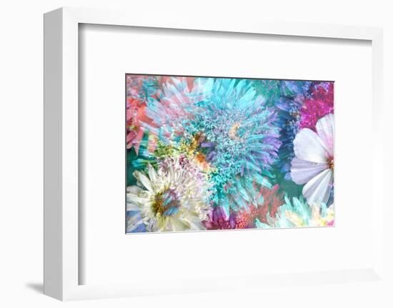 Blossoms of Dahlia and Daisy Star, Poetic Photographic Layer Work-Alaya Gadeh-Framed Photographic Print