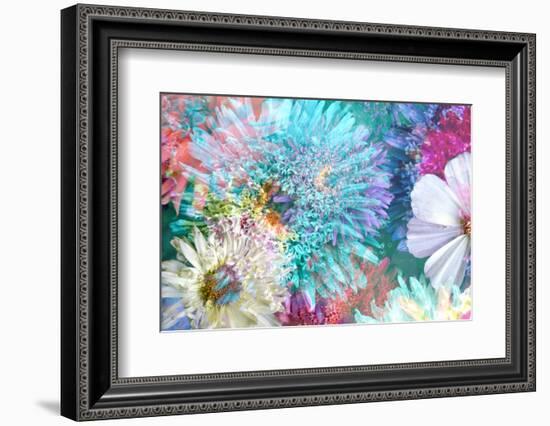 Blossoms of Dahlia and Daisy Star, Poetic Photographic Layer Work-Alaya Gadeh-Framed Photographic Print