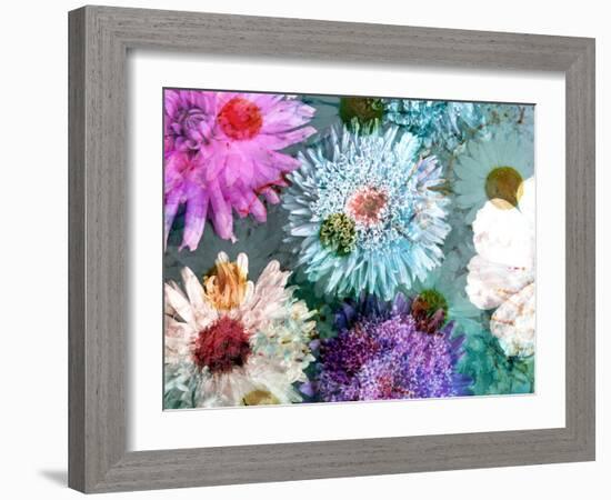 Blossoms of Dahlia and Daisy Star, Poetic Photographic Layer Work-Alaya Gadeh-Framed Photographic Print