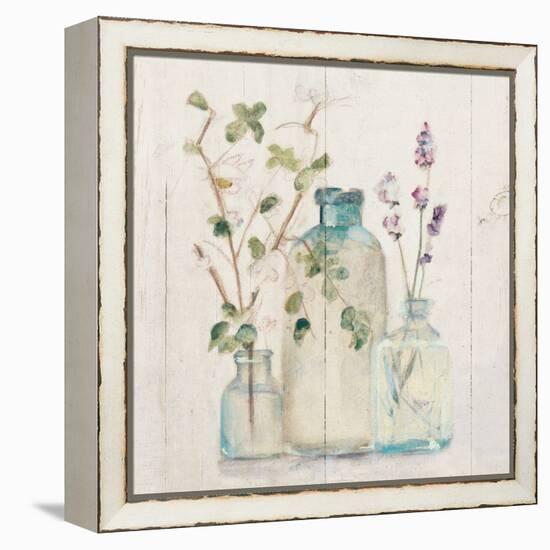 Blossoms on Birch V-Cheri Blum-Framed Stretched Canvas