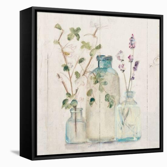 Blossoms on Birch V-Cheri Blum-Framed Stretched Canvas