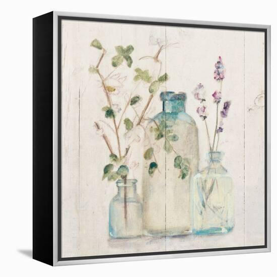 Blossoms on Birch V-Cheri Blum-Framed Stretched Canvas