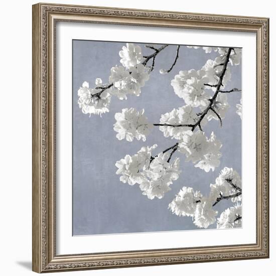 Blossoms on Blue II-Kate Bennett-Framed Art Print