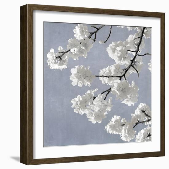 Blossoms on Blue II-Kate Bennett-Framed Art Print