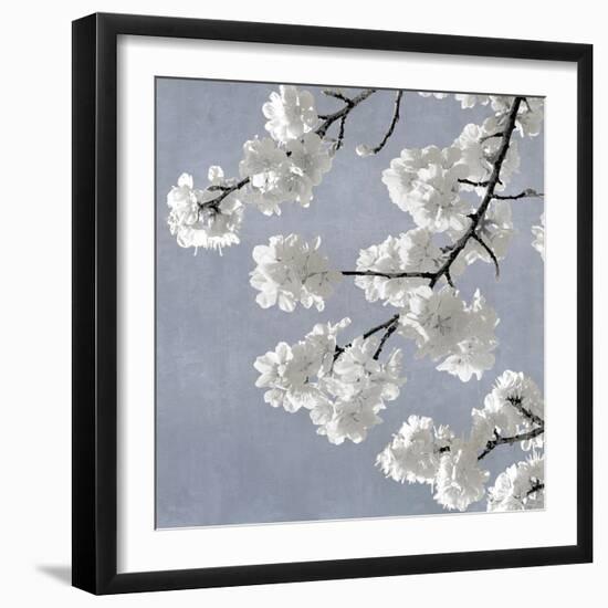 Blossoms on Blue II-Kate Bennett-Framed Art Print